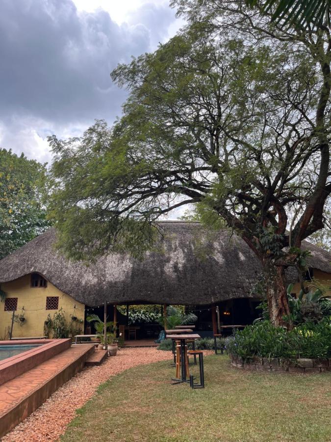 30 Wilson Bed and Breakfast Jinja Exteriör bild