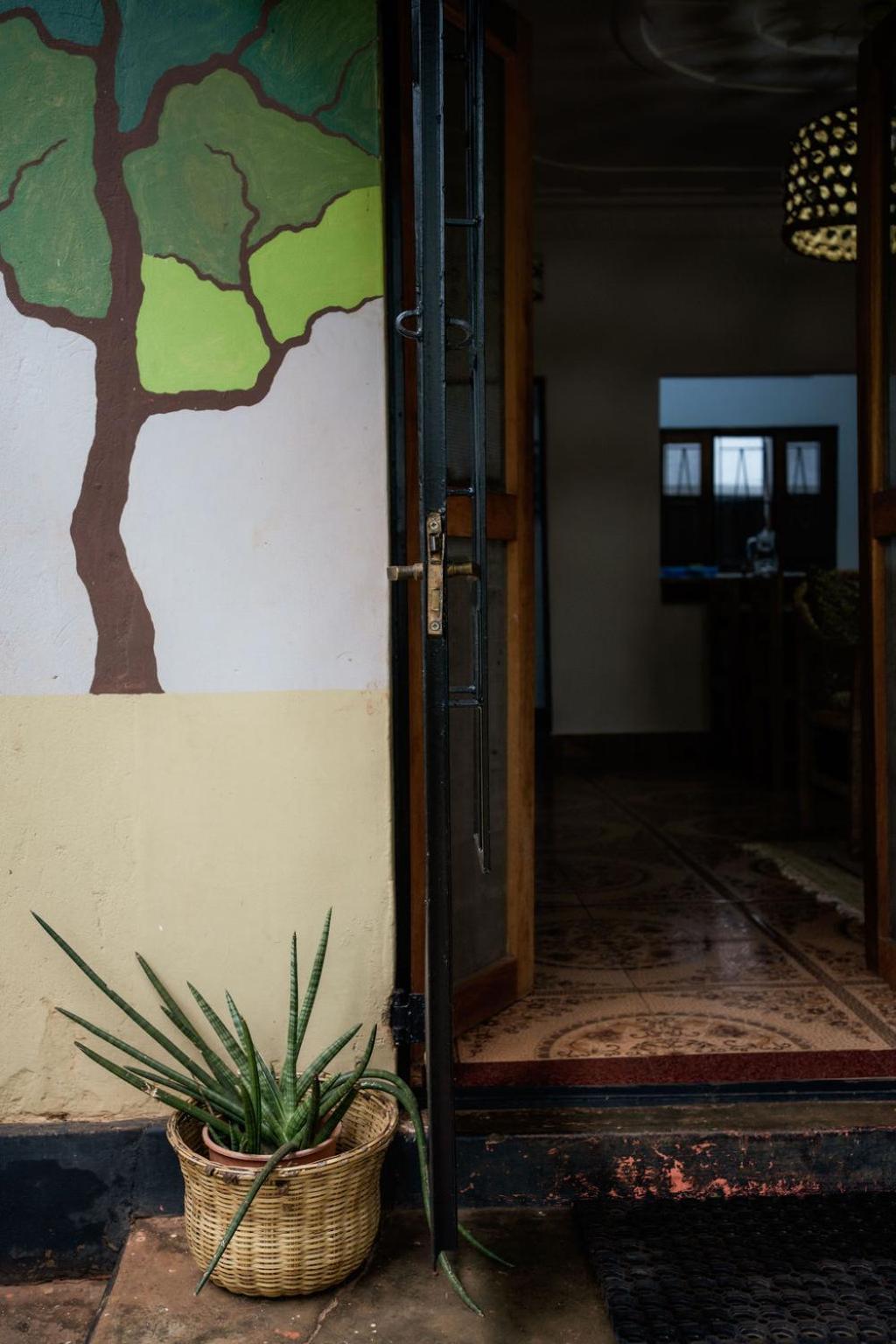 30 Wilson Bed and Breakfast Jinja Exteriör bild
