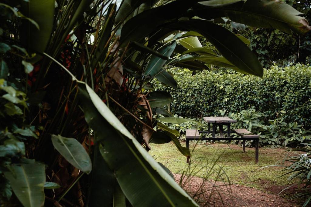 30 Wilson Bed and Breakfast Jinja Exteriör bild